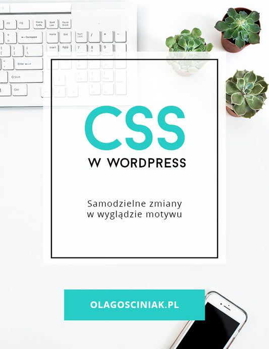 CSS w Wordpress. Samodzielne zmiany w wyglądzie motywu