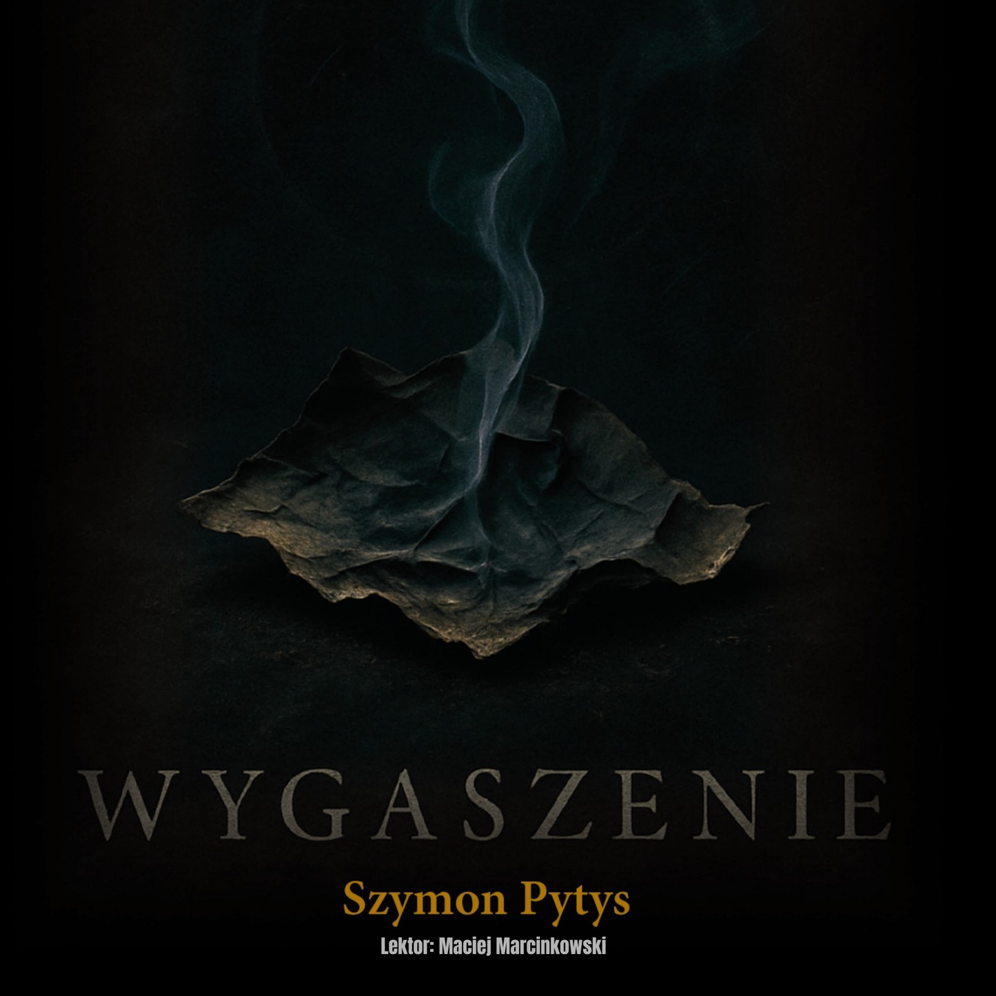 Wygaszenie - audiobook