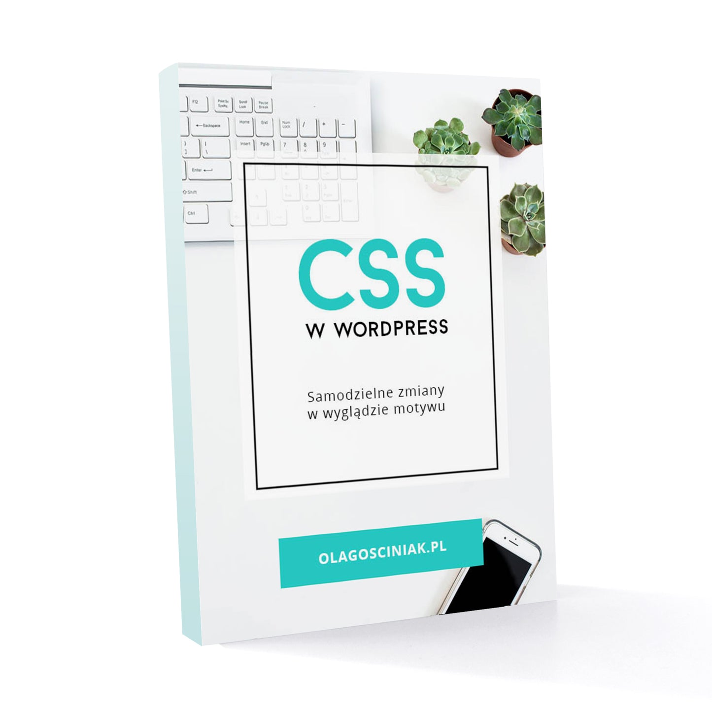 CSS w Wordpress. Samodzielne zmiany w wyglądzie motywu